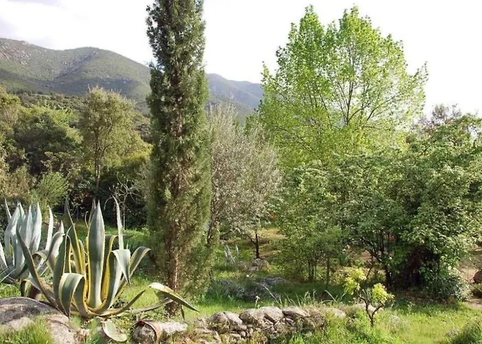 Avec Piscine Privee Dans Un Havre De Paix *